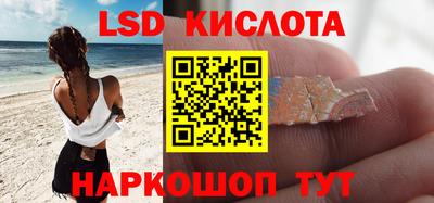прущие грибы Заволжье