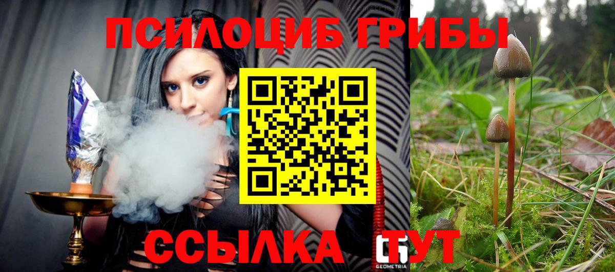 Шелехов  Галлюциногенные грибы Magic Shrooms  Вход с VPN 